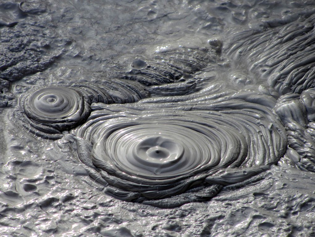 Mudtopia Business Plan